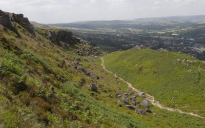 Restoring the Steps at Rocky Valley